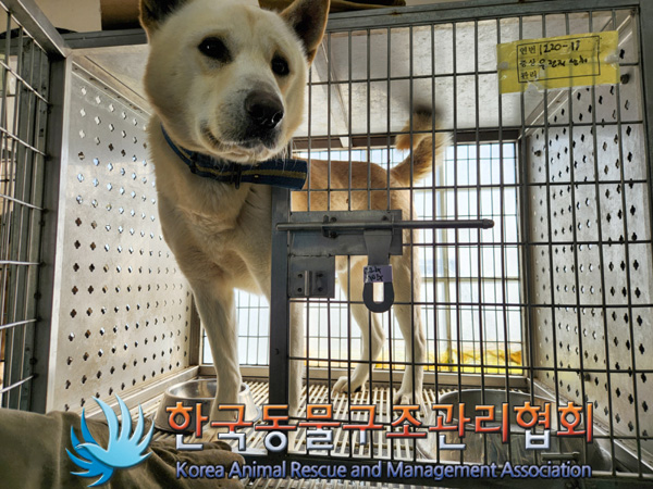 한국동물구조관리협회_441404202400639